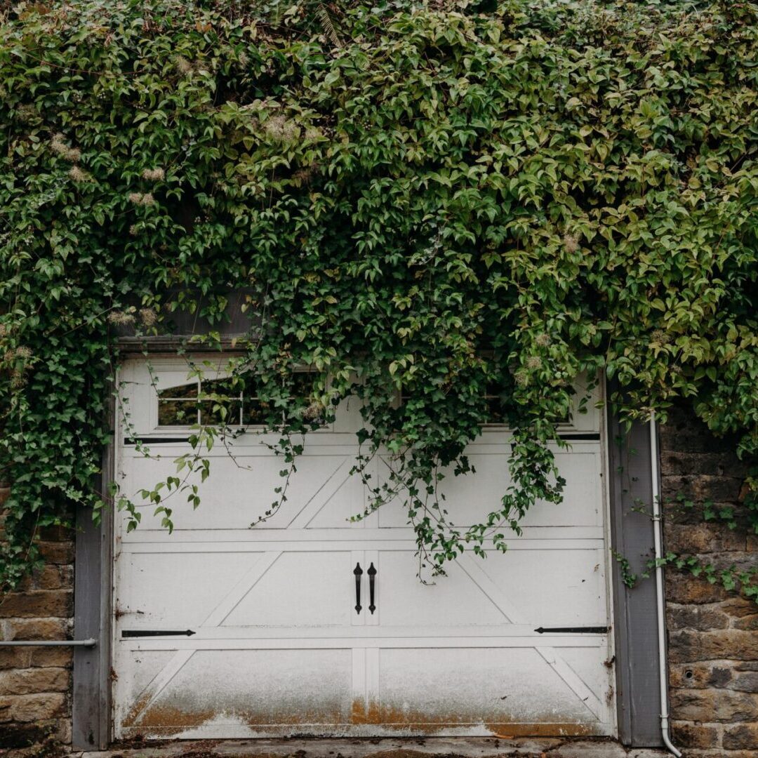 A garage door with vines growing on it.