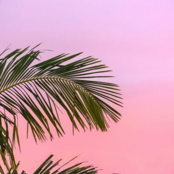 summer is a great time to downsize